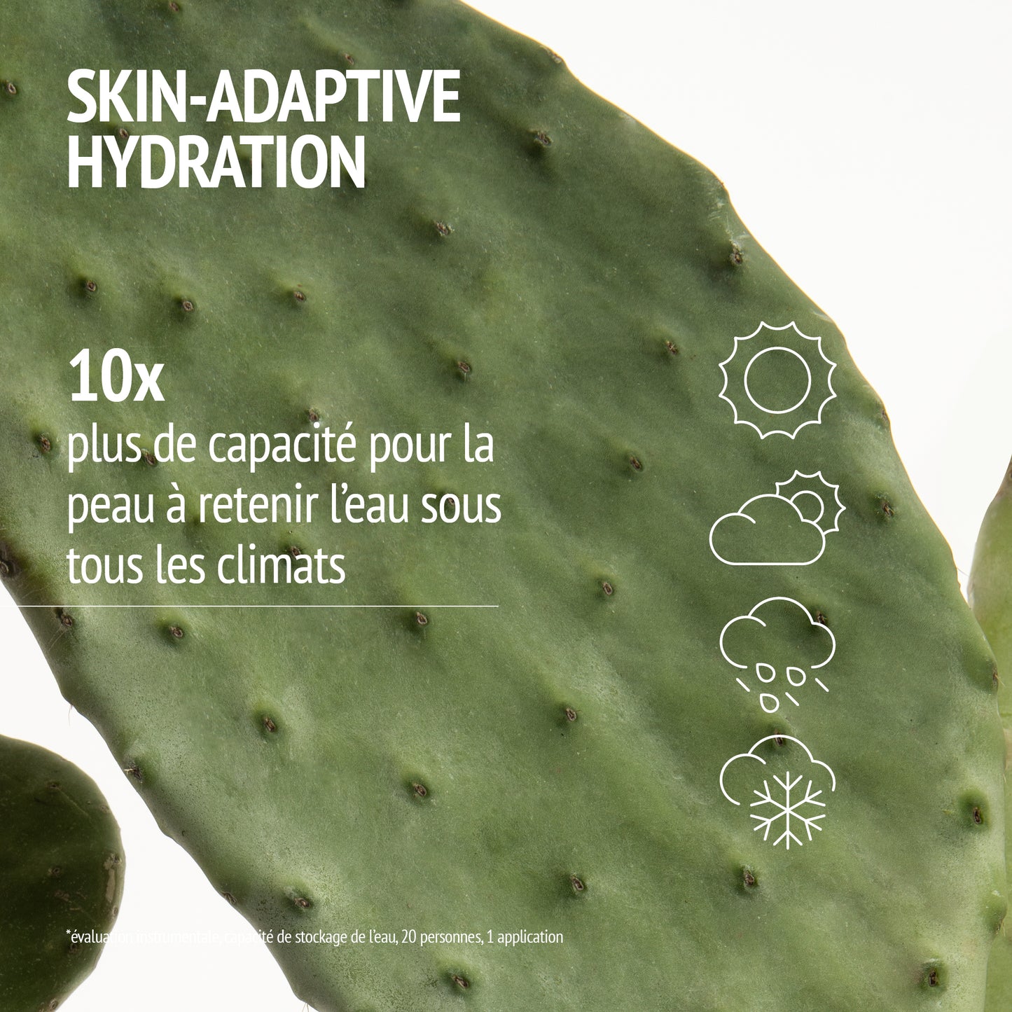 HYDRAMEMORY RICH SORBET CREAM 30ml