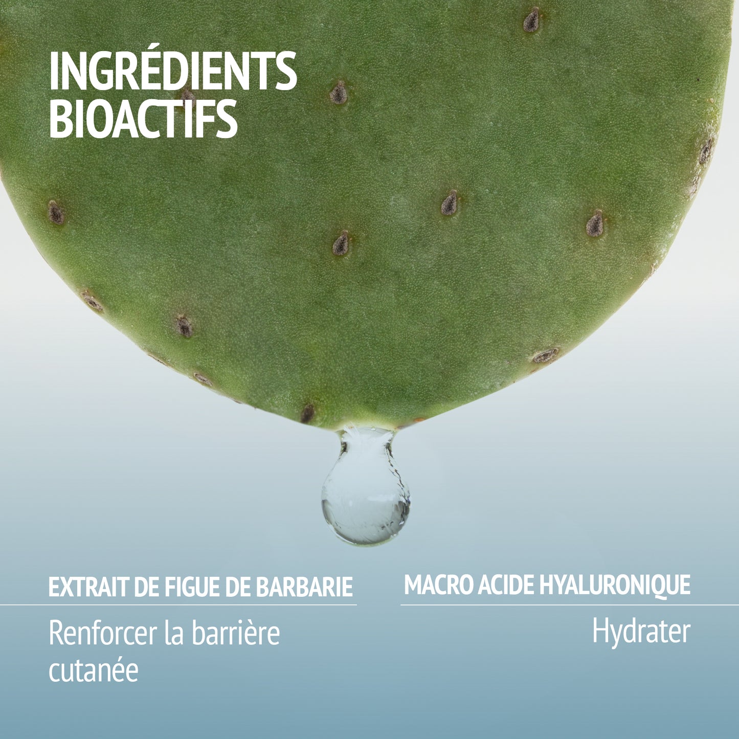 HYDRAMEMORY WATER SOURCE SERUM 30ml