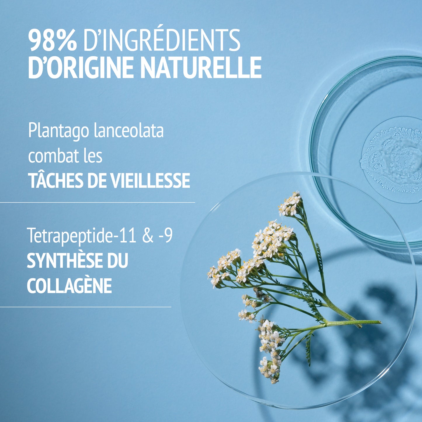 SUBLIME SKIN CREAM 30ml