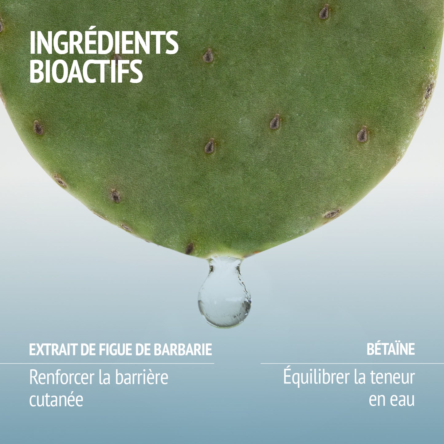 HYDRAMEMORY FACE MIST 100ml comfort zone