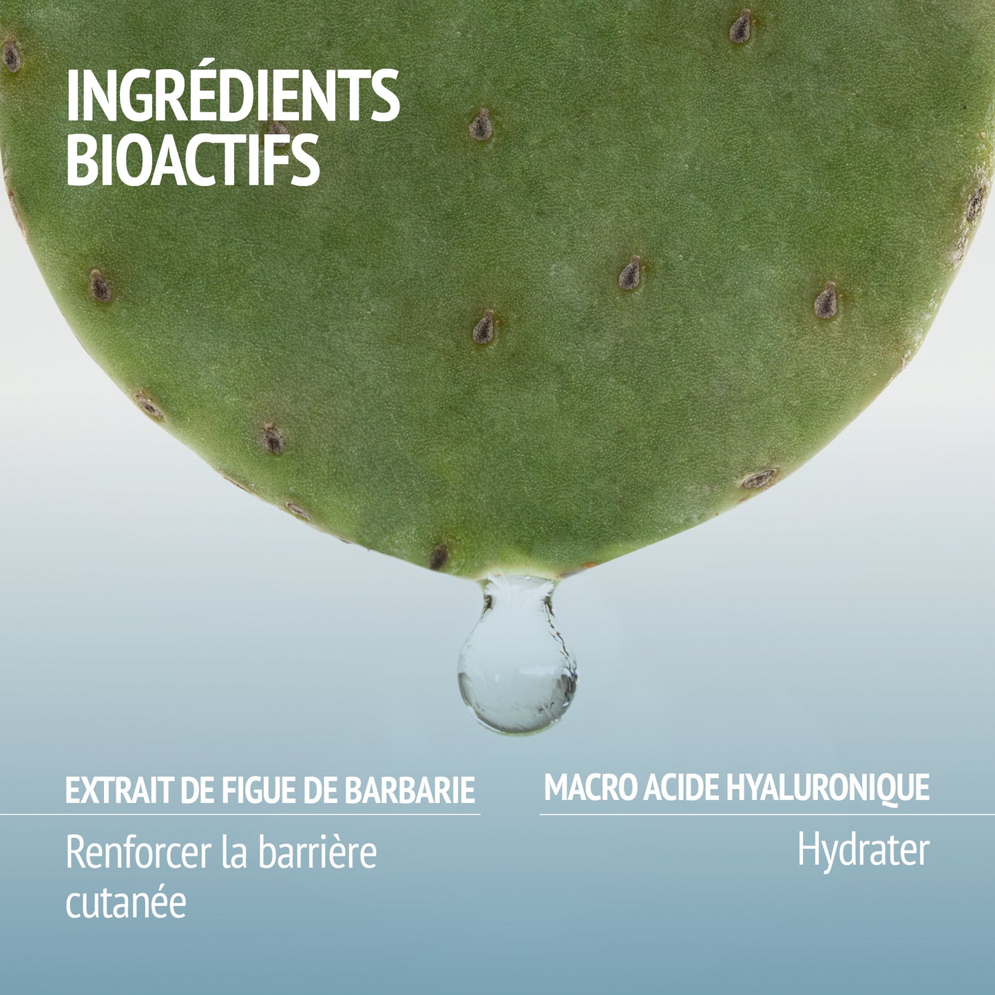 HYDRAMEMORY RICH SORBET CREAM (REFILL) 50ml